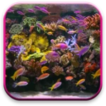 aquarium android application logo